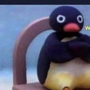 Meet your Posher, Francisco